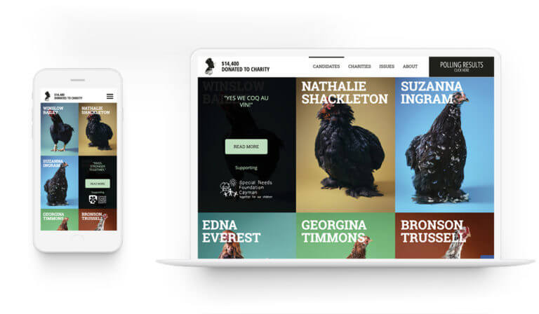 Chicken Elections - Branding. Market Research. Design. Web Development.