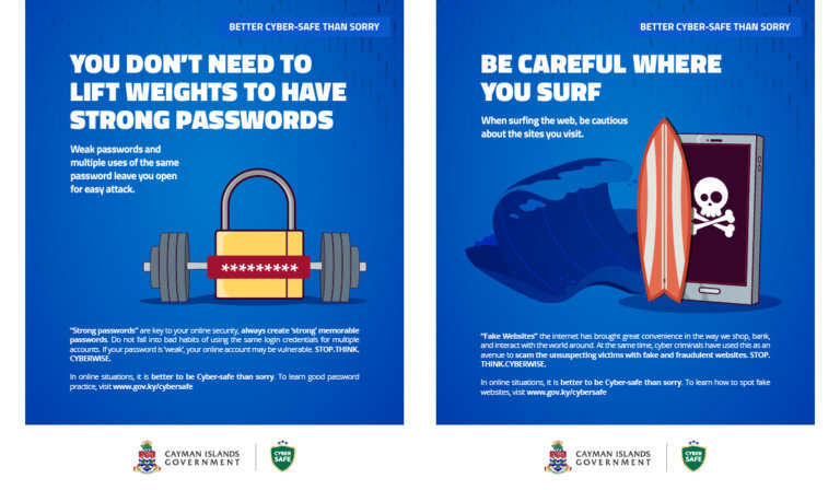 Cyber Awareness campaign - Design. Illustrations.